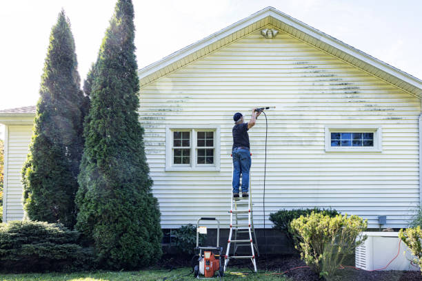 Pre-Holiday Cleaning in Luverne, MN